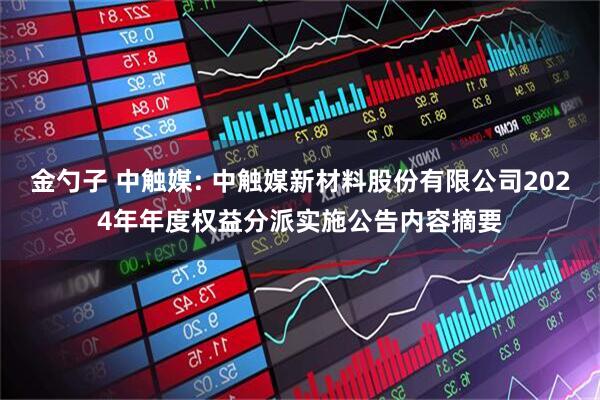 金勺子 中触媒: 中触媒新材料股份有限公司2024年年度权益分派实施公告内容摘要