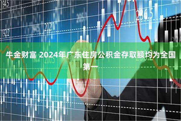 牛金财富 2024年广东住房公积金存取额均为全国第一