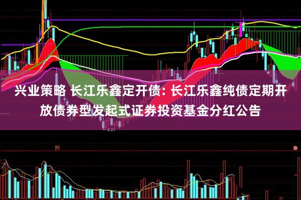兴业策略 长江乐鑫定开债: 长江乐鑫纯债定期开放债券型发起式证券投资基金分红公告