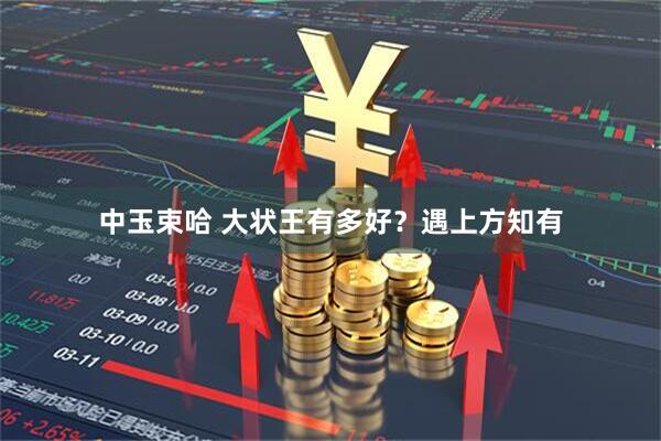 中玉束哈 大状王有多好？遇上方知有