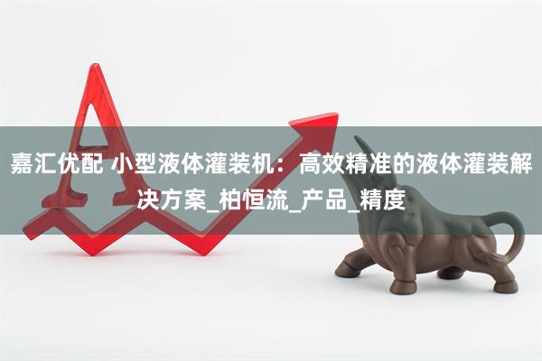 嘉汇优配 小型液体灌装机：高效精准的液体灌装解决方案_柏恒流_产品_精度
