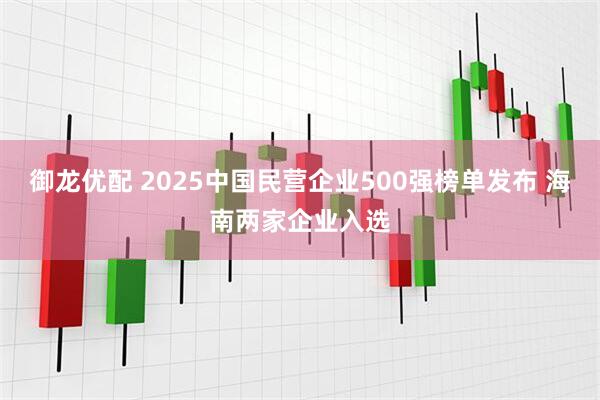 御龙优配 2025中国民营企业500强榜单发布 海南两家企业入选
