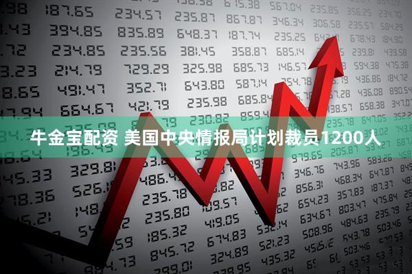 牛金宝配资 美国中央情报局计划裁员1200人
