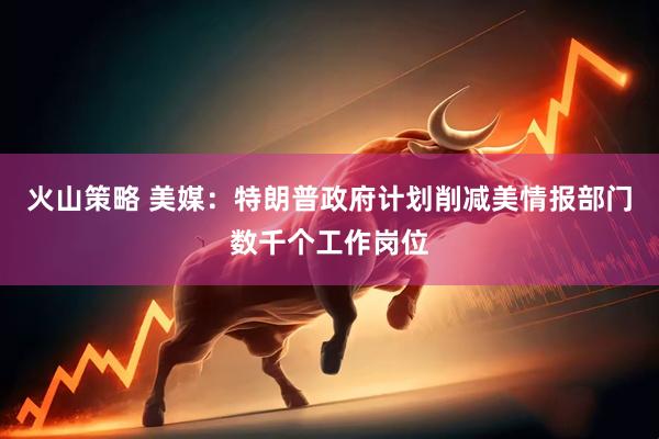 火山策略 美媒：特朗普政府计划削减美情报部门数千个工作岗位