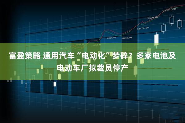 富盈策略 通用汽车“电动化”梦碎?多家电池及电动车厂拟裁员停产